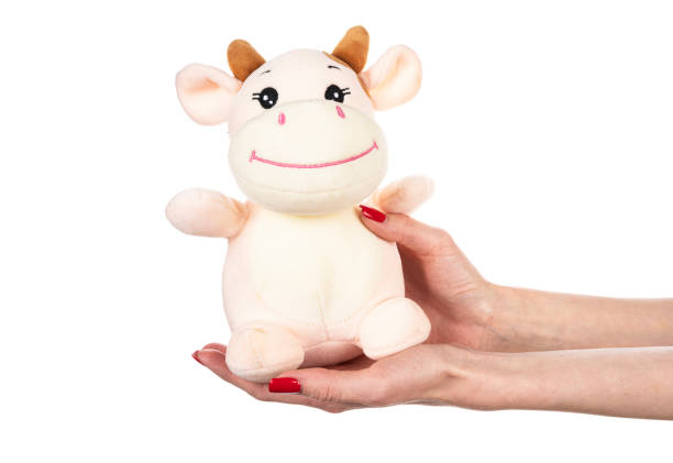 Soft toy cow in hand isolated on white background. High quality photo