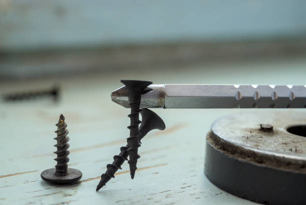istock Black screws sticks to the screwdriver 2162652516