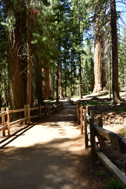 istock Kings Canyon National Park 2162653366