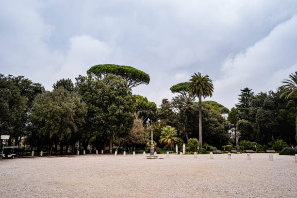 Tropical trees of the Pincio Gardens in the Villa Borghese park in Rome, Italy