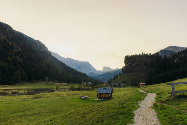 Scenic view of beautiful mountain landscape with river flow, pine forest, green meadow and the peaks of Dolomites Alps Mountains at the small village during soft sunset