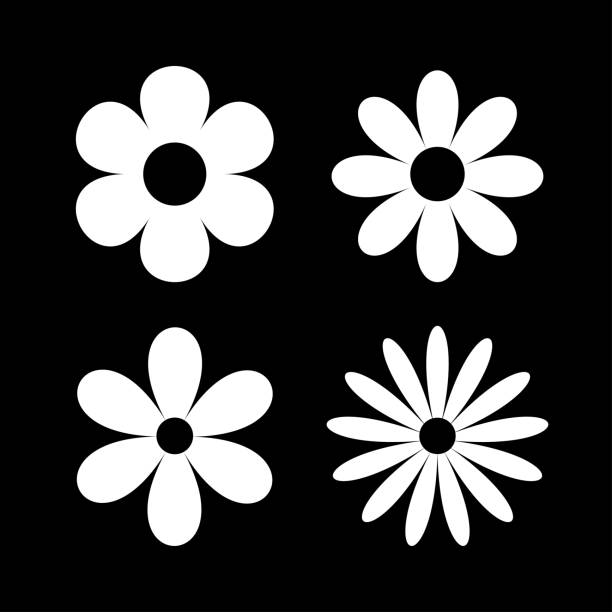 124,400+ Daisy Vector Stock Illustrations, Royalty-Free Vector