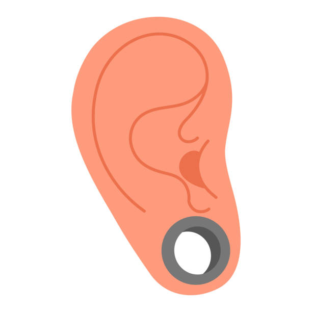 Human Ear tunnel piercing. flat style Vector color illustration Ear tunnel piercing. Metal tunnel earring. Hand drawn trendy flat style isolated human ear with tunnel, stretched piercing. Big hole in the earlobe Vector illustration cartilage piercings stock illustrations