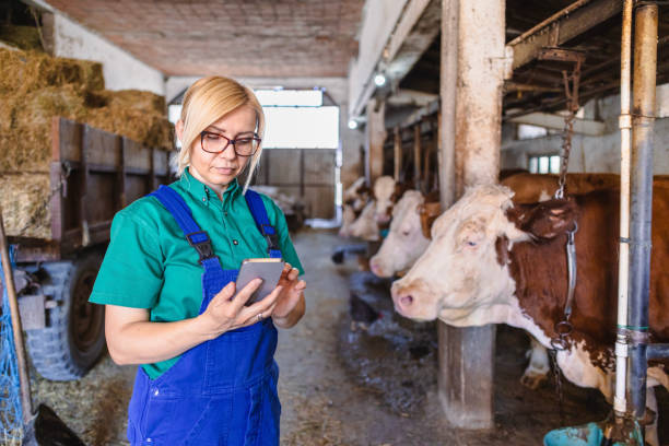 istock Female worker using mobile phone on the farm 2162662709