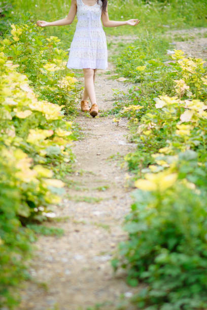 In Dikmen Park, rows of cherry trees are aligned side by side. The trees are covered with pink blossoms. The walkway is paved with stone. The trees arch over the path, forming a tunnel-like appearance. The grass is green, and the surroundings are well-maintained.