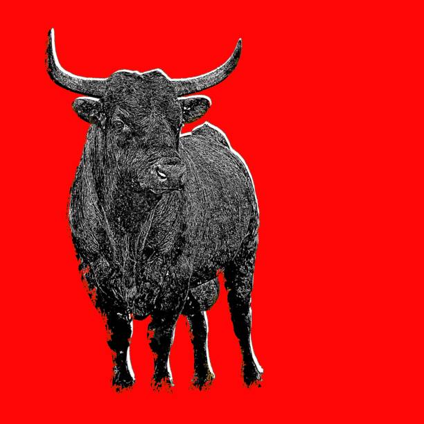 A strong and confident black bull with large horns standing on a bright red background. Copy space. Stop. Danger