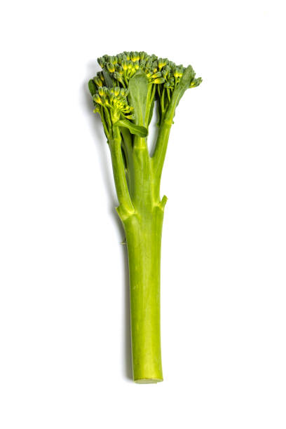 istock Single stalk of broccoli 2162663902