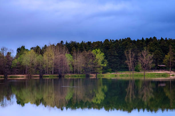 A lake with a cloudy sky in the background. The water is calm and still, and the trees surrounding the lake are bare