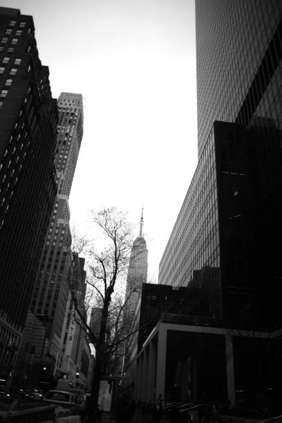 Photo taken at the Empire State Building with a wide angle lens. The building is distant from the viewer's view, and immersed in fog ('framed' by the darker and 'defined' side buildings). The bare branches of a tree break 'disengage' the geometry for a few 'moments'.