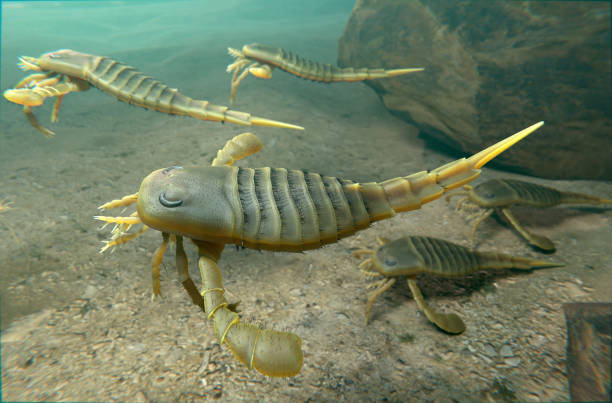 istock Eurypterids Swimming on Silurian Seafloor 2162669674
