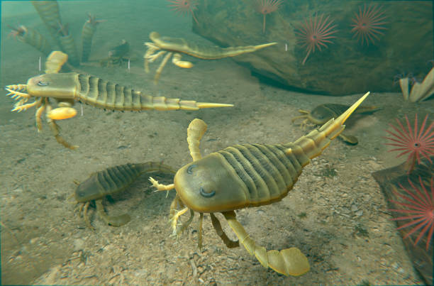 istock Eurypterids Swimming on Silurian Seafloor 2162669677