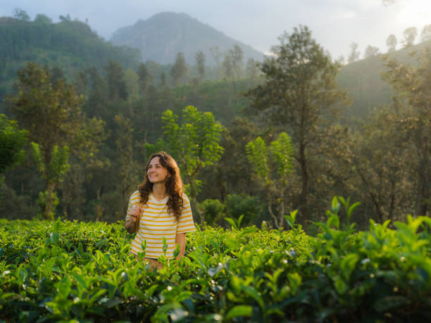 istock Woman exploring on tea plantation in Sri Lanka 2162674218