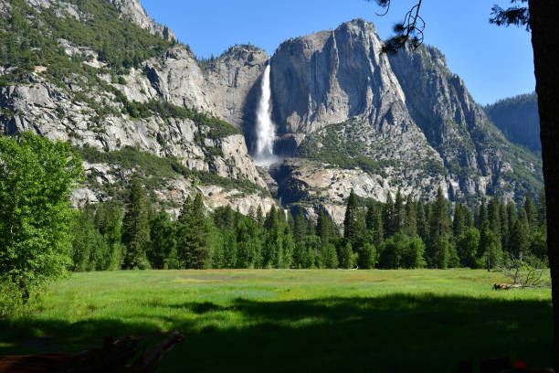 istock Yosemite National Park 2162674617