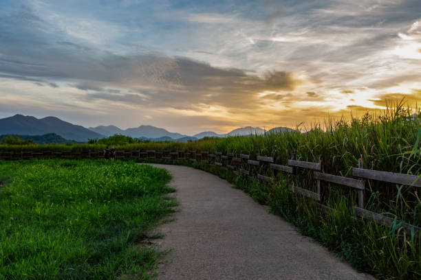 Evening sunset view of Junam Reservoir in Changwon, Korea