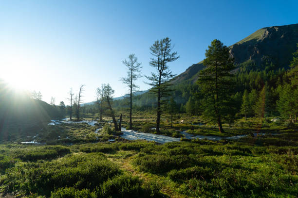 istock The Karakabak river valley in Altay mountains, Russia 2162681321