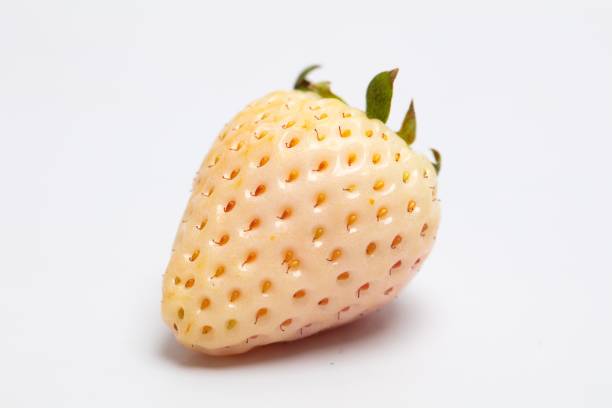 istock Close-up image of a single white strawberry 2162681971