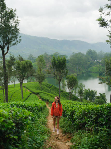 istock Woman exploring on tea plantation in Sri Lanka 2162682465