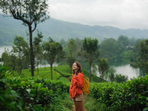 istock Woman exploring on tea plantation in Sri Lanka 2162682467