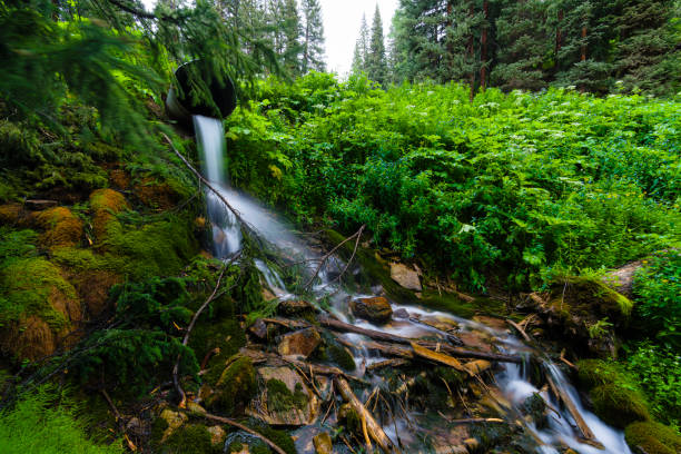 Culvert Redirecting Water Under Road in Nature - Corrugated pipe with small creek flowing and redirecting runoff under dirt road in a backcountry wooded area.