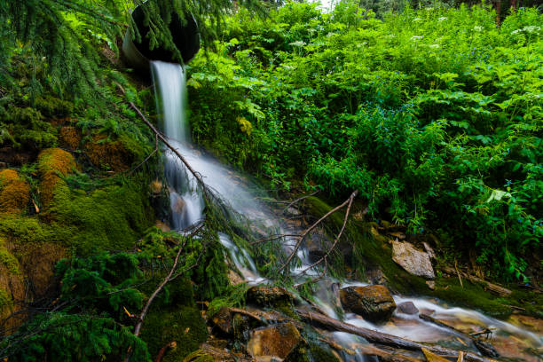 Japan, Karuizawa, Nagano Prefecture, Alternative Therapy, Autumn