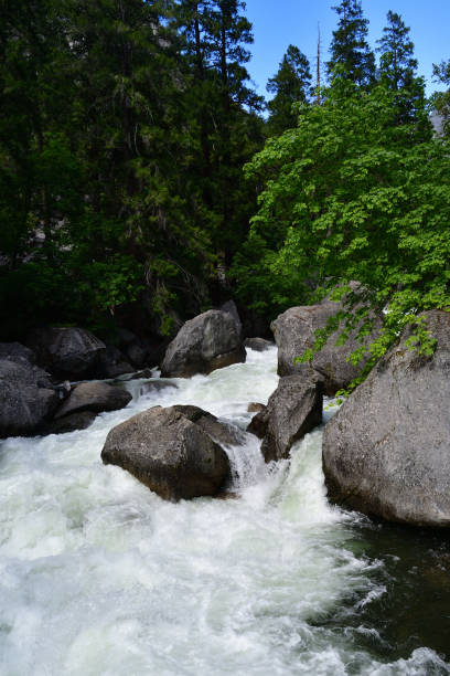 istock Yosemite National Park 2162685316