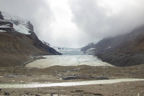 istock Athabasca Glacier - Jasper National Park. 2162688309