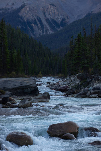 istock Mistaya Canyon, Rocky Mountains, Canada. 2162688316
