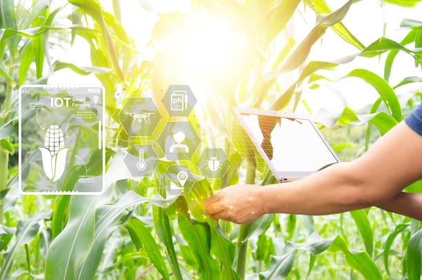 istock The concept of using AI and smart farming. 2162691528