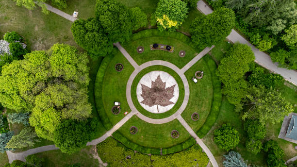 Aerial view of Toronto High Park
