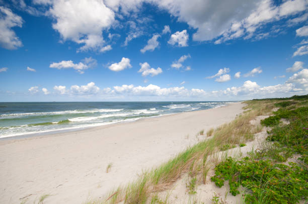 istock Sand dunes landscape at the Baltic sea 2162695507