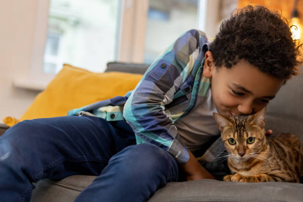 istock Happy dark-skinned boy playing with a cat and looking 2162697856