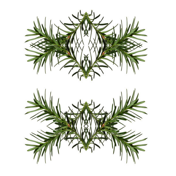 Christmas symmetrical geometric pattern.  Design element for creating repeating seamless patterns, interior decoration, plant borders, frames.