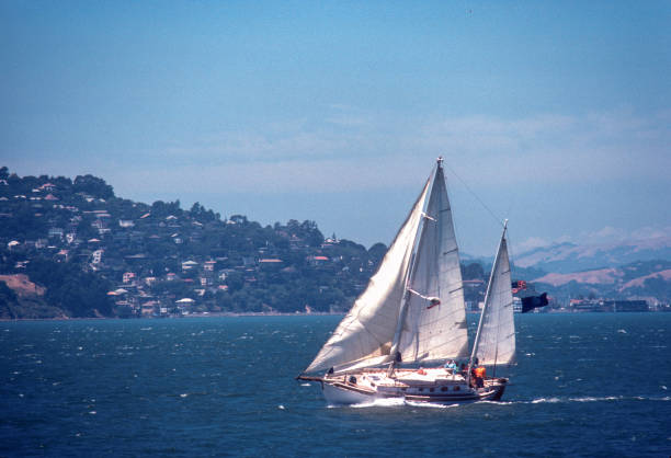 istock San Francisco Bay - Sailboat - 1978 2162701832