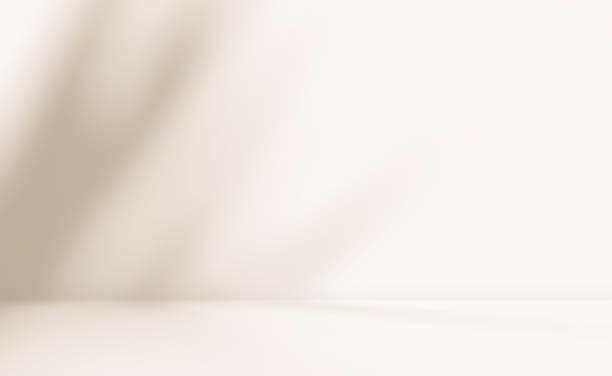 istock Empty cream brown beige room studio with shadow of leaves for product presentation. 2162701879