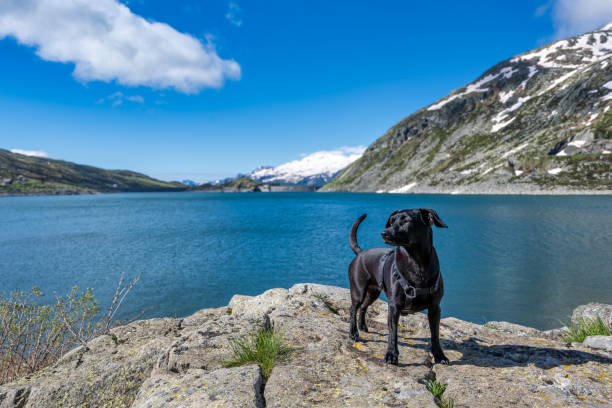 istock A view of the Montespluga Dam 2162703922
