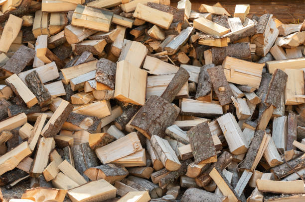 Trees cut into pieces to be used as an energy source in a fireplace.