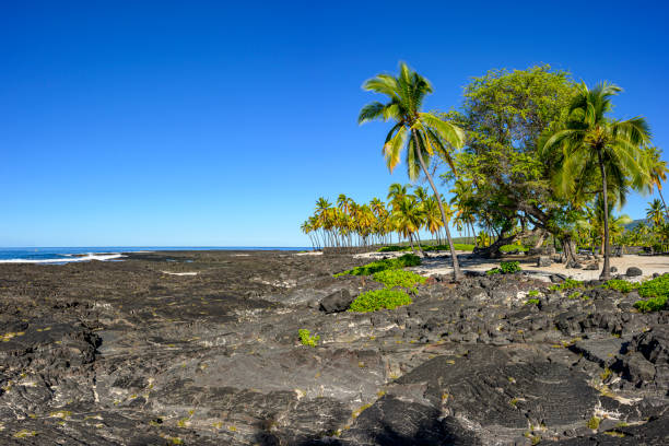 istock Beautiful Honaunau Bay in Hawaii 2162705383