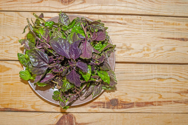 Green and purple basil on a wooden board.