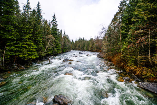 An evening landscape in the Jacques Cartier national park in Quebec. Canada.