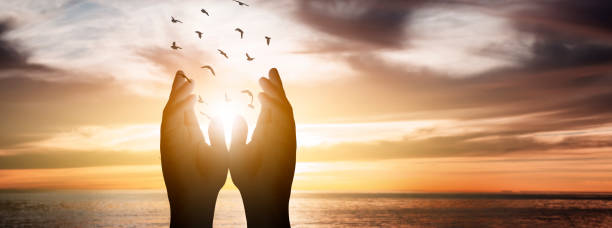 istock Two hands reach out to each other, help concept 2162708489