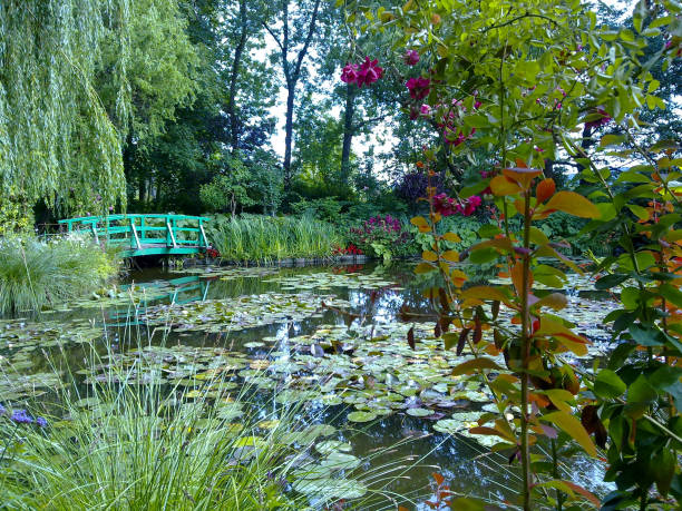 istock Nimpheas in Monet's garden at Giverny. 2162709273