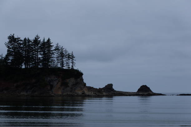 istock Rugged Shoreline at Sunset Bay State Park, Oregon 2162711875
