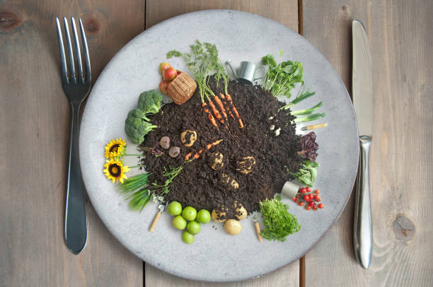 istock Organic plant based kitchen garden concept 2162712598