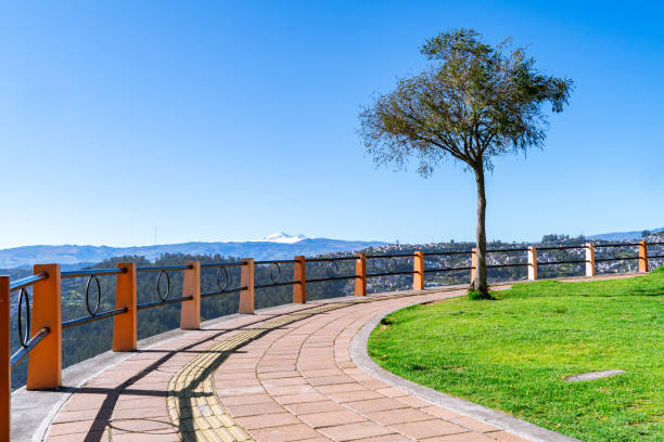 istock Green landscape with a tree in the middle 2162716856