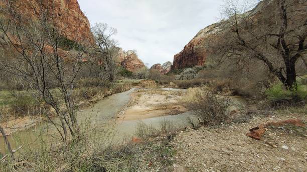 istock Zion National Park 2162718498