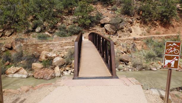 istock Zion National Park 2162718501