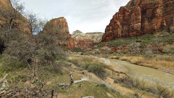 istock Zion National Park 2162718522