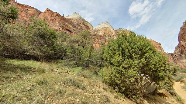 istock Zion National Park 2162718537