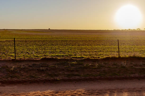 istock Sunsetting over Rolling Fields in Rural Victoria, Australia 2162724530