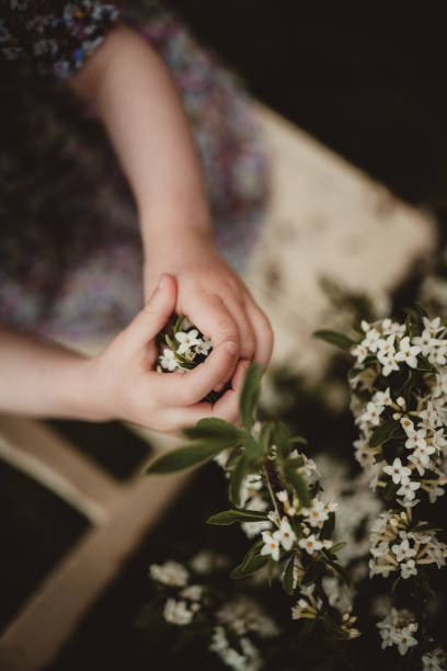 Little girl picking white flowers off of a plant
